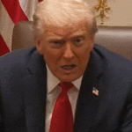 https3A2F2Fprod.static9.net_.au2Ffs2F701134ea-27bb-4c78-9793-28c951d3c4f5.gif