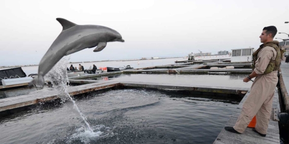 https3A2F2Fprod.static9.net_.au2Ffs2Fbd032f02-3e71-4125-87d6-b1c315aa5036.jpeg