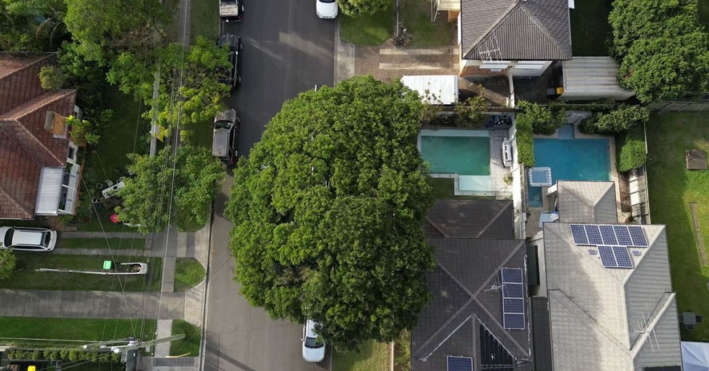 featured