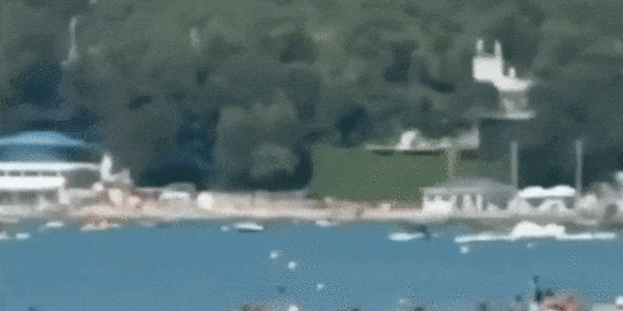 53c687023c13b13aec3b6e7bcdd4da7cde80d5e50a23db327e793355c263d490.gif