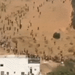 e1efaeaf88ffaae233e02a2c1c66fa56c1e8242afe347bd27e5b50c2296202ea.gif