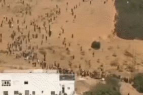 e1efaeaf88ffaae233e02a2c1c66fa56c1e8242afe347bd27e5b50c2296202ea.gif