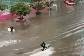 3c65722ce26f13bc244b58e5e388efc744487ae8988d9c74cff67361044e54ab.gif